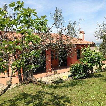 Casa Rossa Apartment Polvereto Luaran gambar